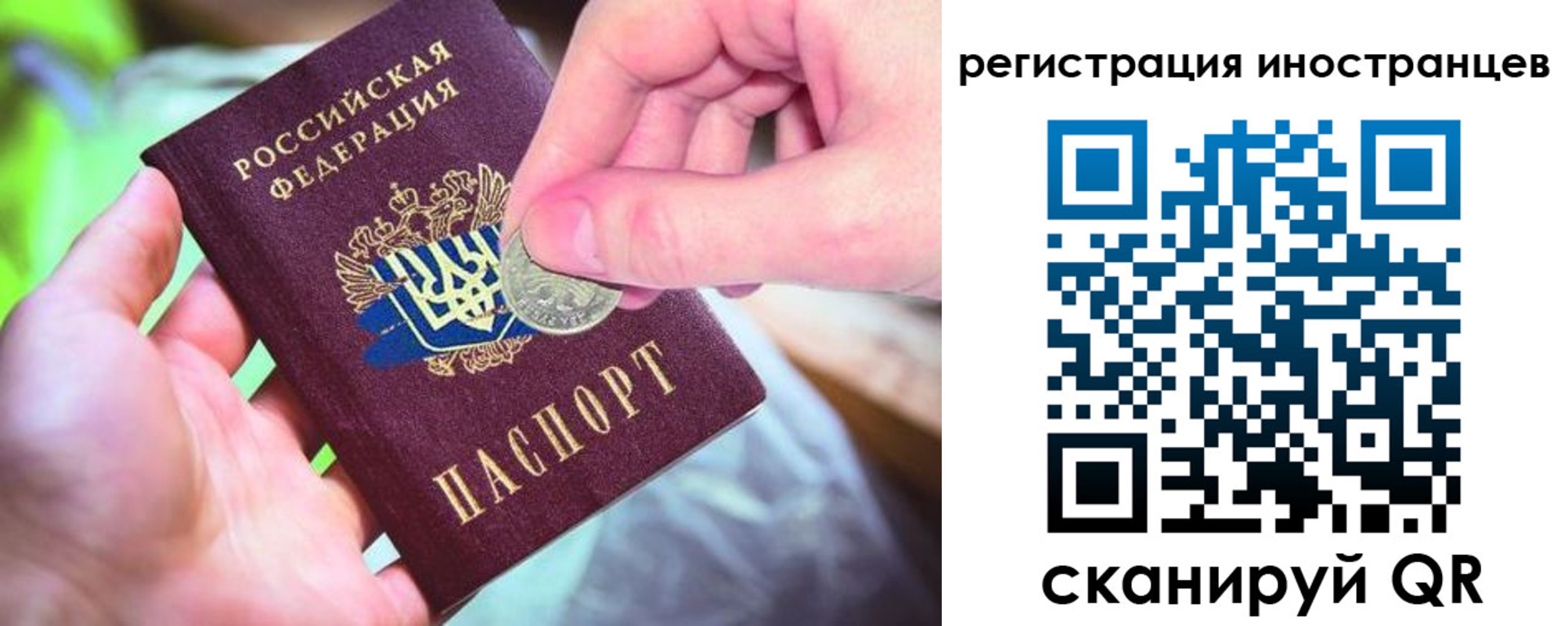 прописка для работы в Фокино